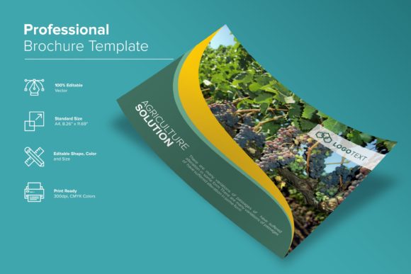 Professional Brochure Template