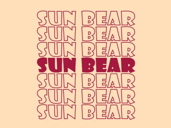 Sun Bear SVG Cut File: What You Need to Know Before Cutting, Scaling, or Selling